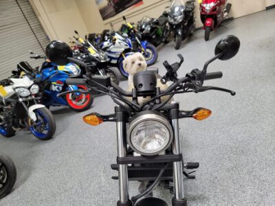 2019 Honda Rebel 500 ABS