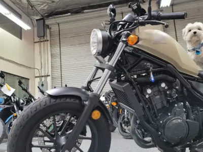 2019 Honda Rebel 500 ABS