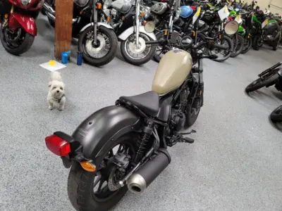 2019 Honda Rebel 500 ABS