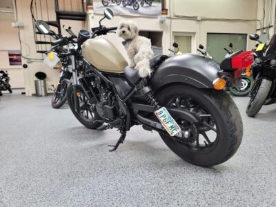 2019 Honda Rebel 500 ABS