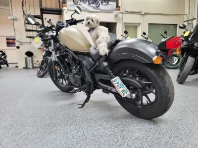 2019 Honda Rebel 500 ABS