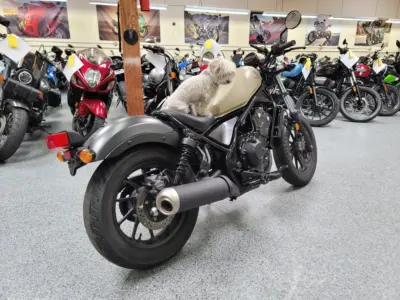 2019 Honda Rebel 500 ABS
