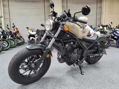 2019 Honda Rebel 500 ABS