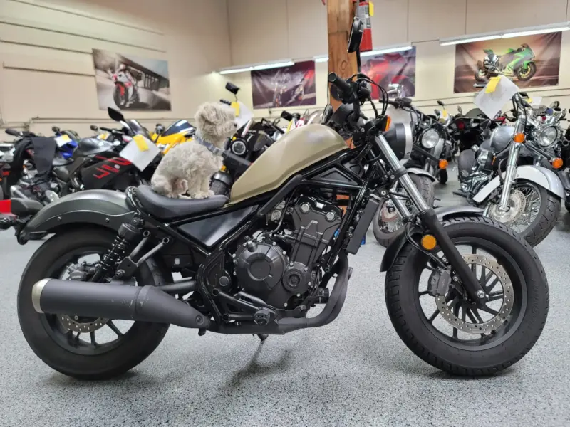 2019 Honda Rebel 500 ABS