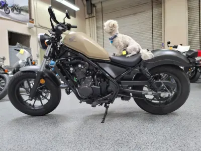 2019 Honda Rebel 500 ABS