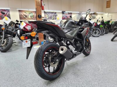 2017 Yamaha R3