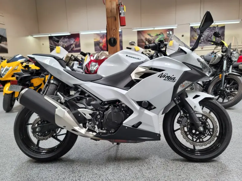 2020 Kawasaki Ninja 400