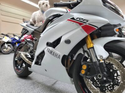 2015 Yamaha R6 PEARL WHITE