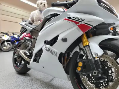 2015 Yamaha R6 PEARL WHITE
