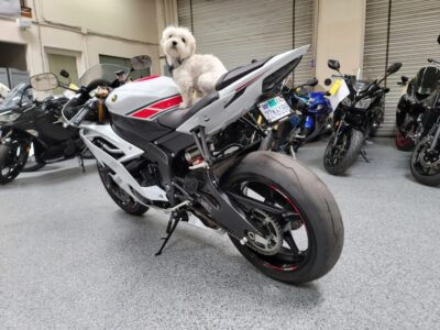 2015 Yamaha R6 PEARL WHITE
