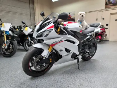 2015 Yamaha R6 PEARL WHITE