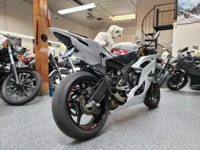 2015 Yamaha R6 PEARL WHITE