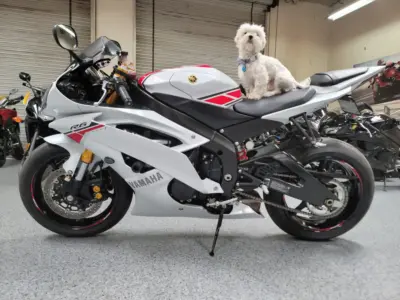 2015 Yamaha R6 PEARL WHITE