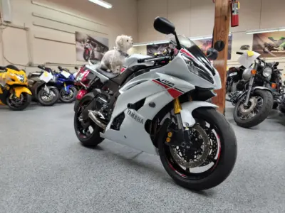2015 Yamaha R6 PEARL WHITE