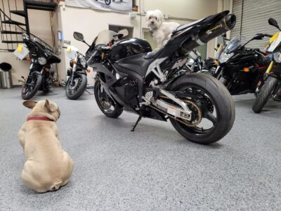 2012 Honda CBR600RR