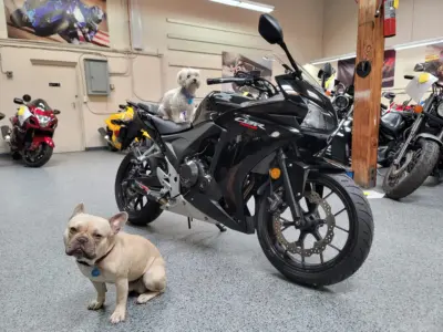 2013 Honda CBR500R CBR 500