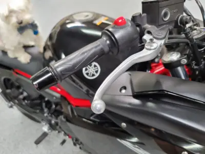 2016 Yamaha FZ6R