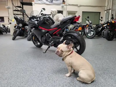 2016 Yamaha FZ6R