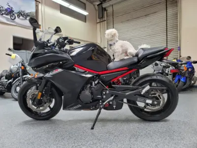 2016 Yamaha FZ6R