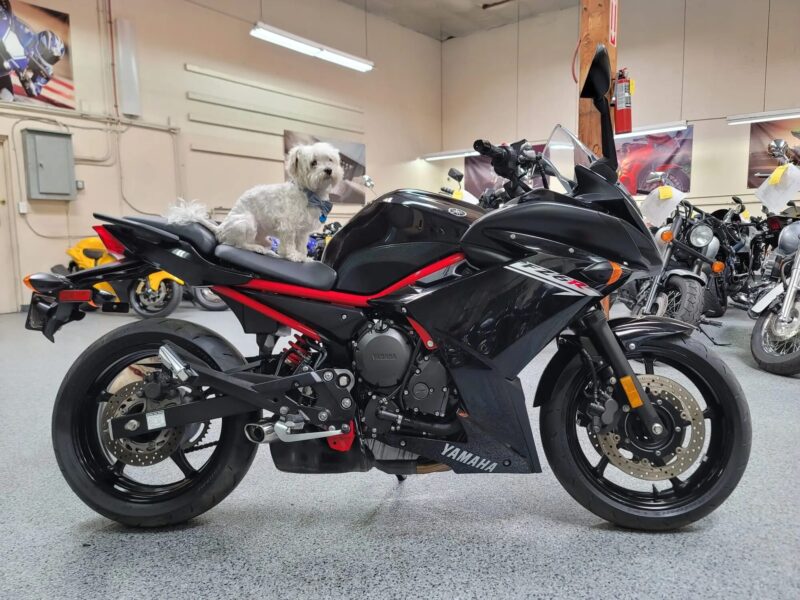 2016 Yamaha FZ6R