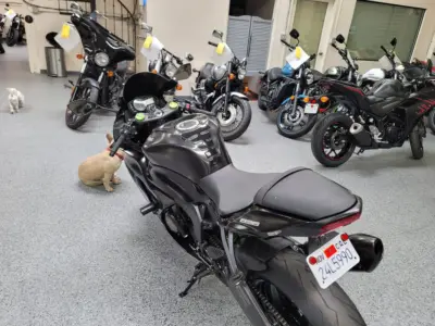 2015 Kawasaki Ninja 636 ZX6R