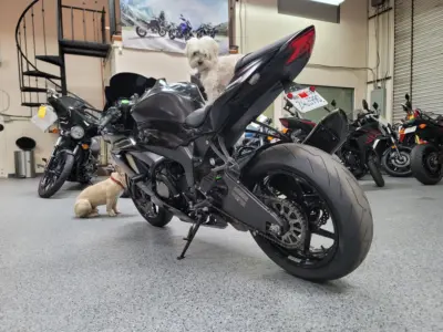 2015 Kawasaki Ninja 636 ZX6R