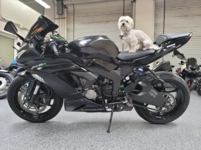 2015 Kawasaki Ninja 636 ZX6R