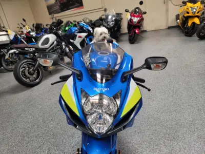 2015 Suzuki GSXR 750