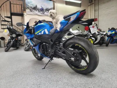 2015 Suzuki GSXR 750