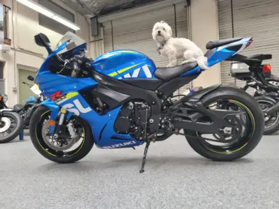 2015 Suzuki GSXR 750