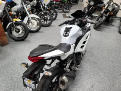 2015 Kawasaki Ninja 300 ABS