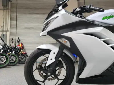 2015 Kawasaki Ninja 300 ABS