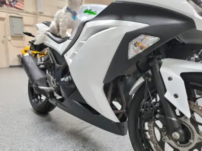 2015 Kawasaki Ninja 300 ABS