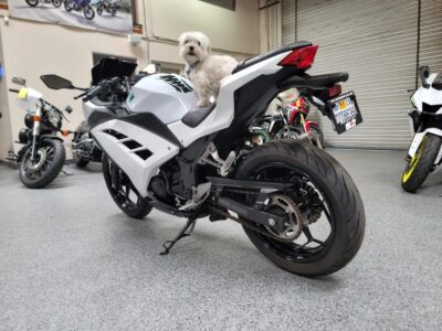 2015 Kawasaki Ninja 300 ABS