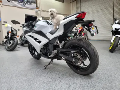 2015 Kawasaki Ninja 300 ABS