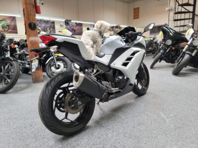 2015 Kawasaki Ninja 300 ABS