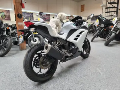 2015 Kawasaki Ninja 300 ABS