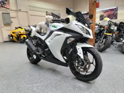 2015 Kawasaki Ninja 300 ABS