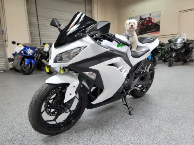 2015 Kawasaki Ninja 300 ABS
