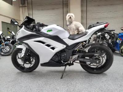 2015 Kawasaki Ninja 300 ABS