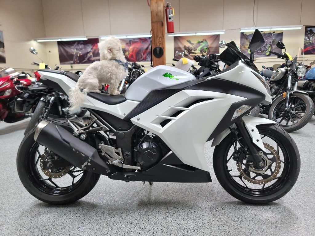 WhatsApp-Image-2021-06-03-at-1