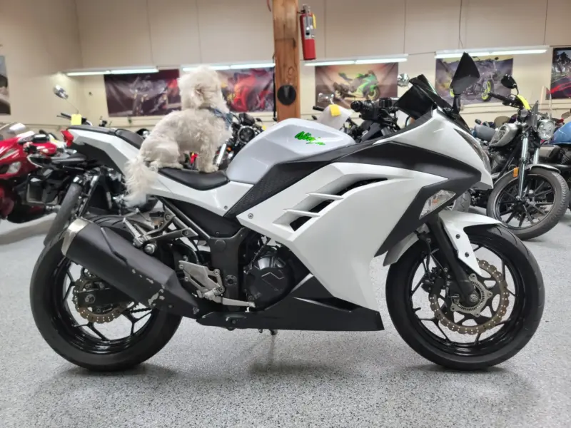 2015 Kawasaki Ninja 300 ABS