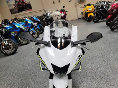 2017 Yamaha R6 PEARL WHITE