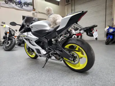 2017 Yamaha R6 PEARL WHITE