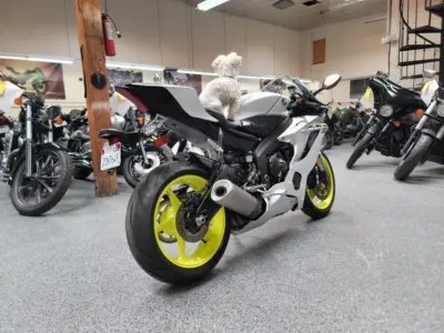 2017 Yamaha R6 PEARL WHITE