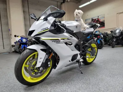 2017 Yamaha R6 PEARL WHITE