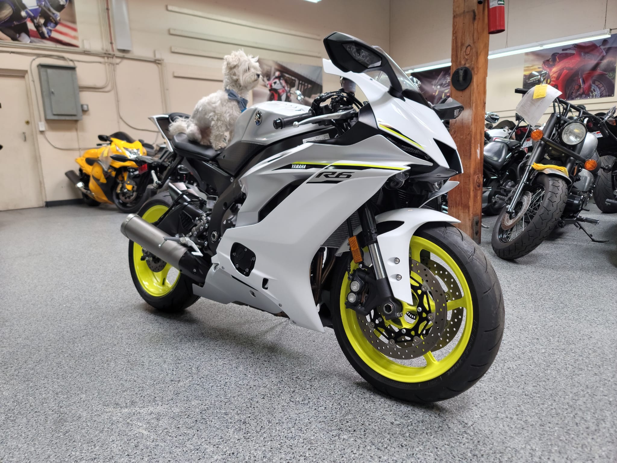 2017 Yamaha R6 PEARL WHITE - 500 Miles | AK Motors