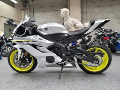 2017 Yamaha R6 PEARL WHITE