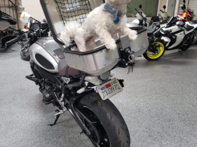2016 Yamaha XSR 900
