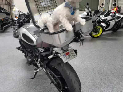 2016 Yamaha XSR 900